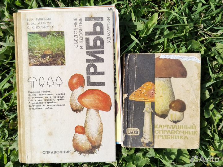 Литература о растениях и грибах