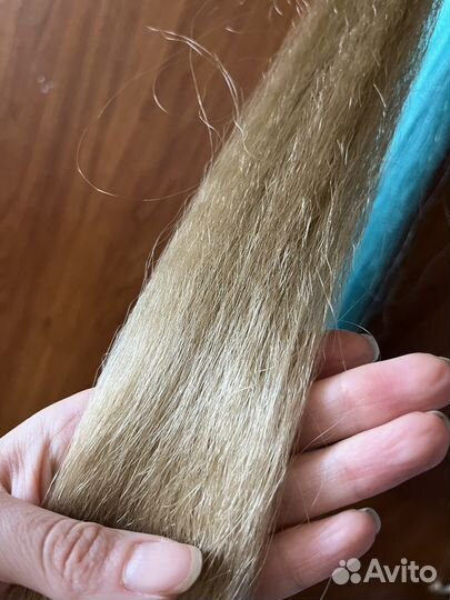 Канекалон аида