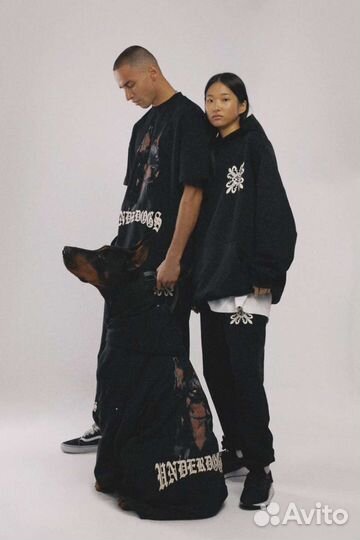 Доберман для фотосессии