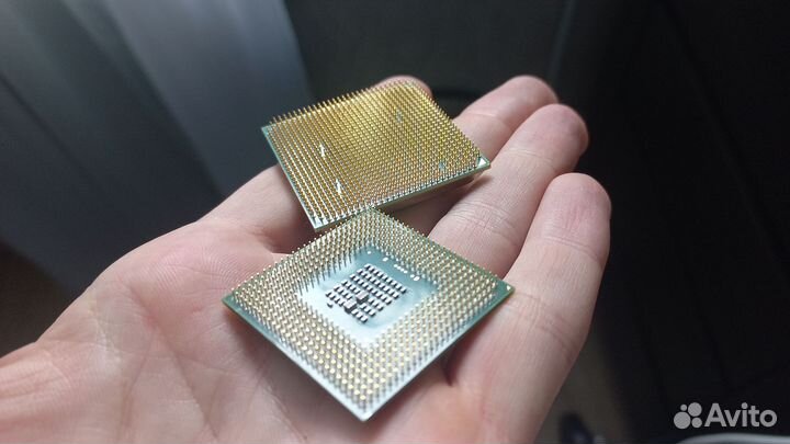 Процессор amd athlon 64 x2, Intel celeron