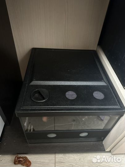 Террариум новый