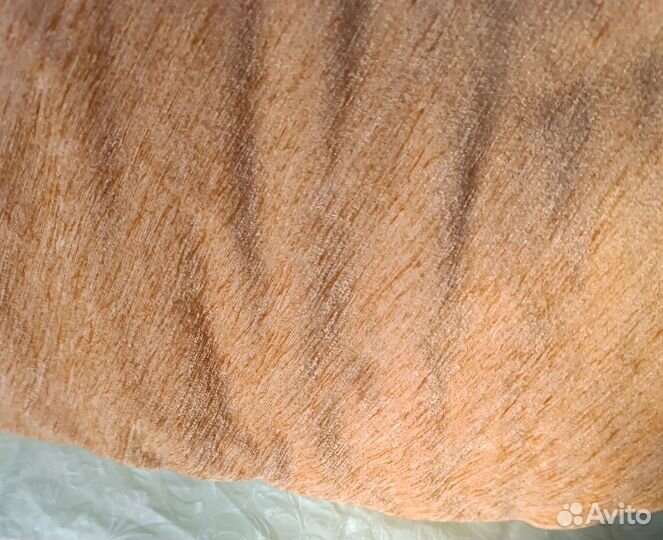 Штора-портьера и тюль-сетка