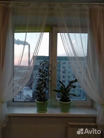 Тюль для кухни или лоджии. Разный