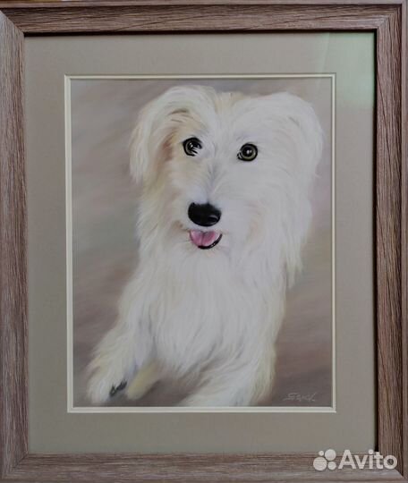 Рисунки вашего питомца на заказ