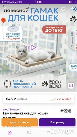 Товары для животных