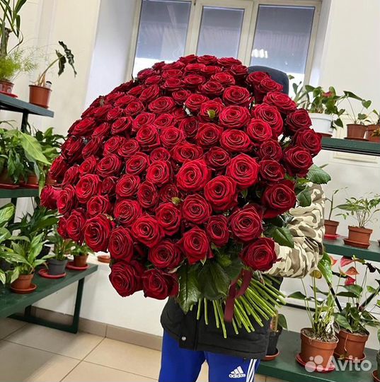 Букеты розы 51