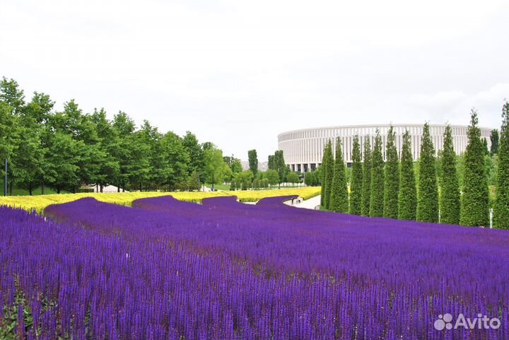 Экскурсия по парку Галицкого с фотосессией