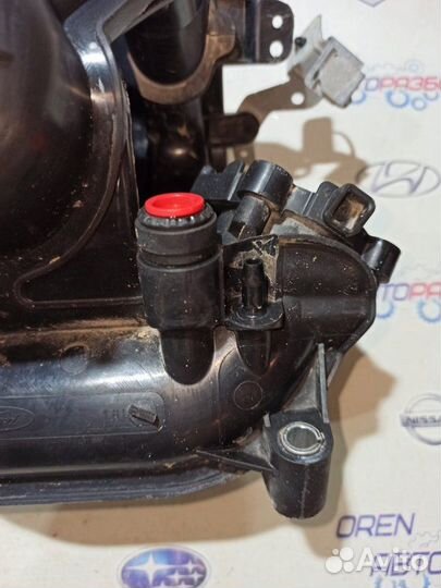 Коллектор впускной Ford Focus 3 хэтчбек 1.6 iqdb