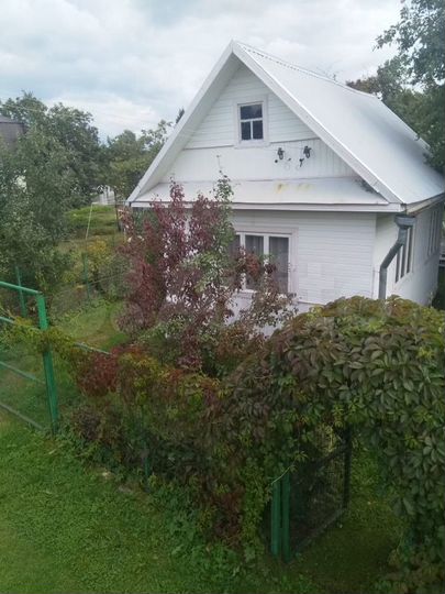 Снт восход 4. Дача 113 км. Массив восход синявино. Снт василеостровец восход. Снт восход 6.