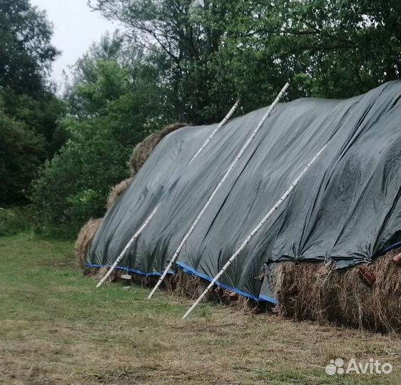 Сено в тюках