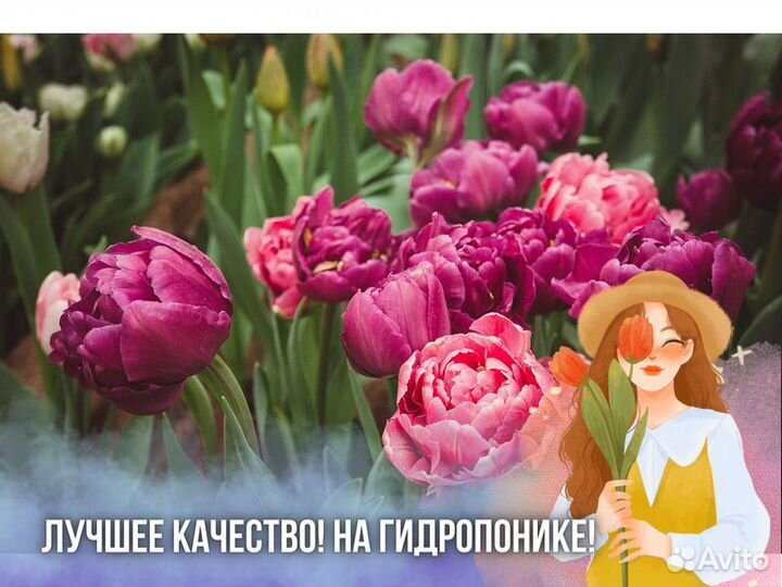 Тюльпаны оптом к 8 марта