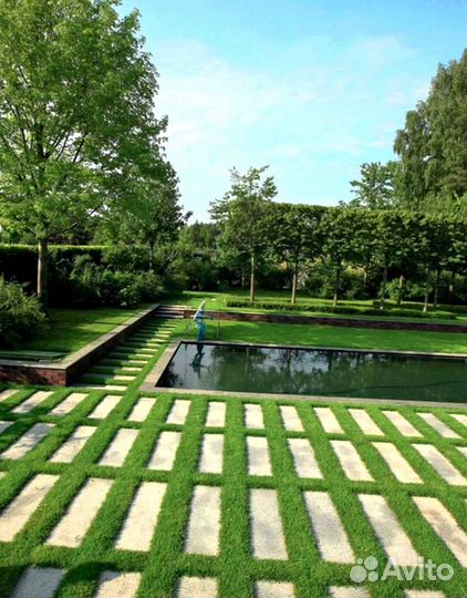 Газон. Рулонный газон