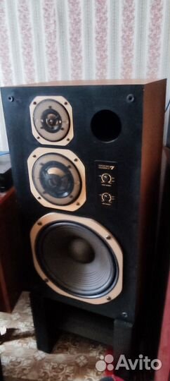 Coral DX 7 + подставки В подарок