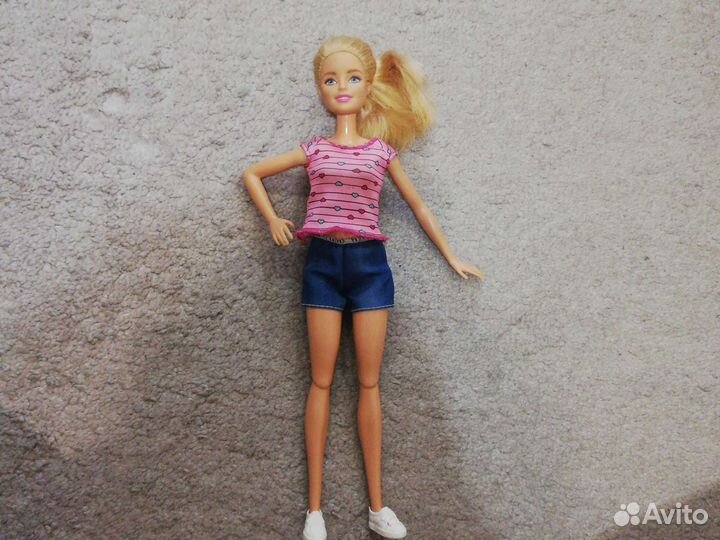 Кукла Барби с собакой и щенками