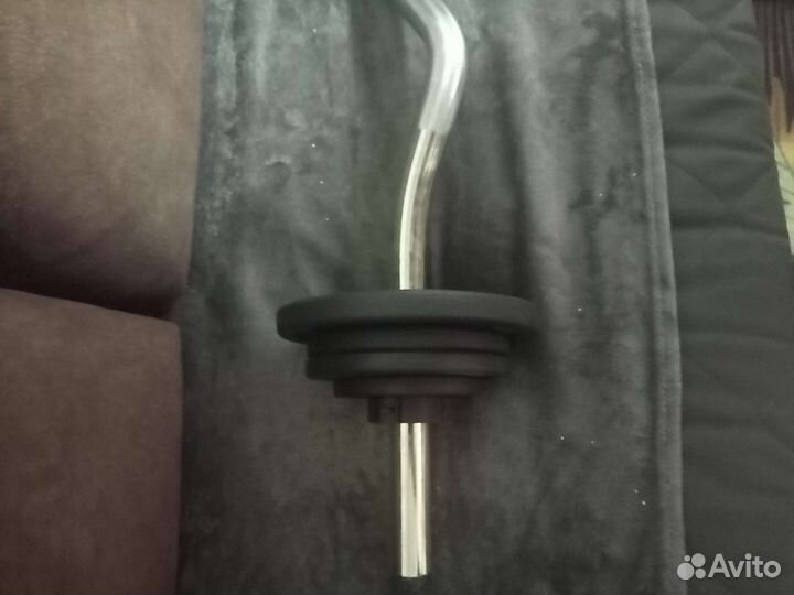 Гриф изогнутый, блины