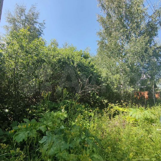Участок 8 сот. (СНТ, ДНП)
