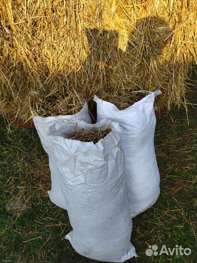 Солома.Сено.Опил.Стружка.Навоз.Мульча. в мешках