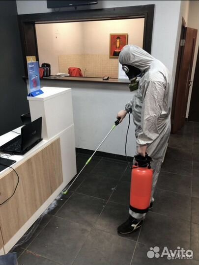 Уничтожение тараканов клопов. Травить насекомых