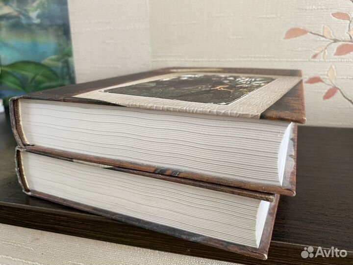 Альфред Шкляровский Томек приключения