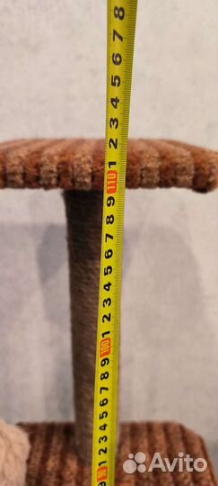 Когтеточка