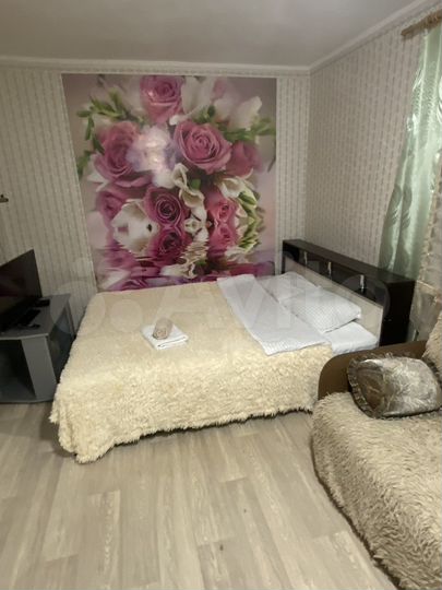 1-к. квартира, 30,2 м², 2/5 эт.