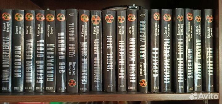 Серия Сталкер