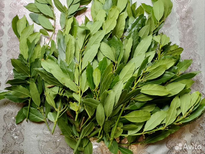 Лавровый лист