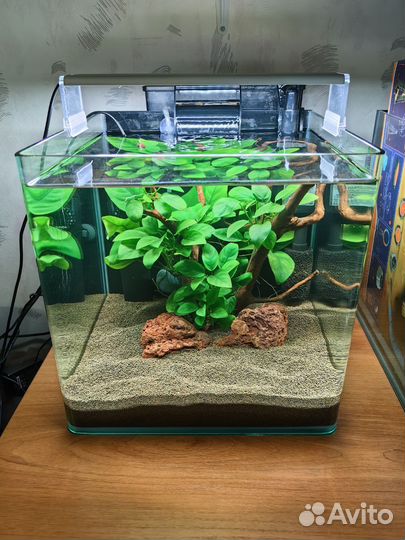 Аквариум куб