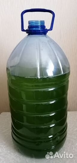 Суспензия хлореллы