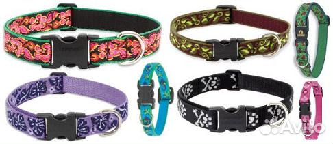 Ошейники для кошек и собак