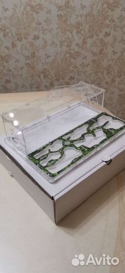 Муравьиная ферма без муравьев