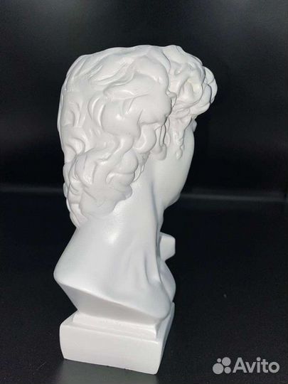 Бюст/голова Давида