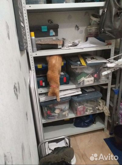 Стеллаж в коридор