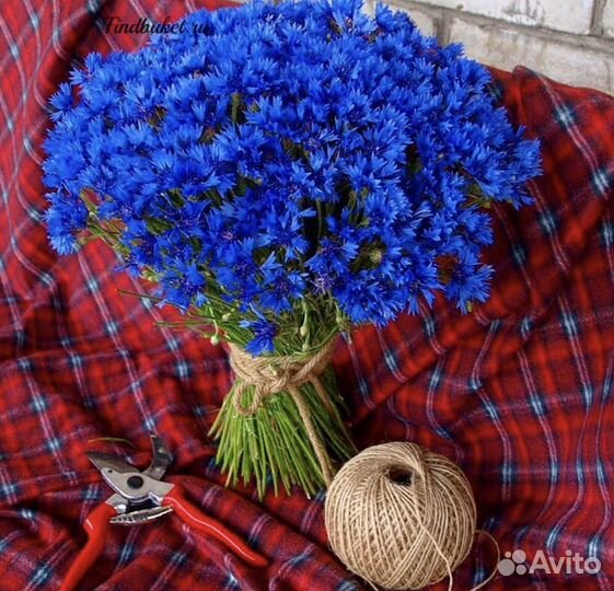 Букет шикарных васильков 21 25 31 51 101