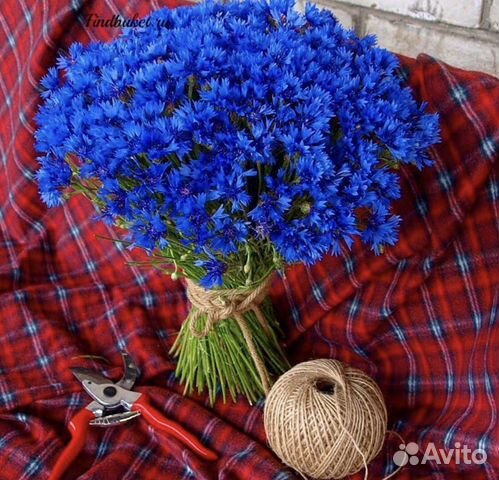 Букет шикарных васильков 21 25 31 51 101