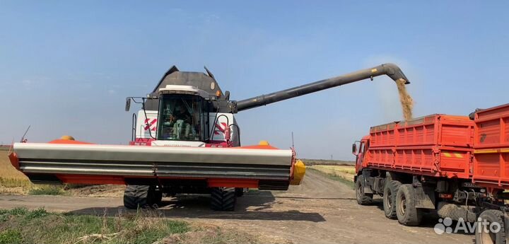 Жатка Агротрейд Эффекта 7, 2023