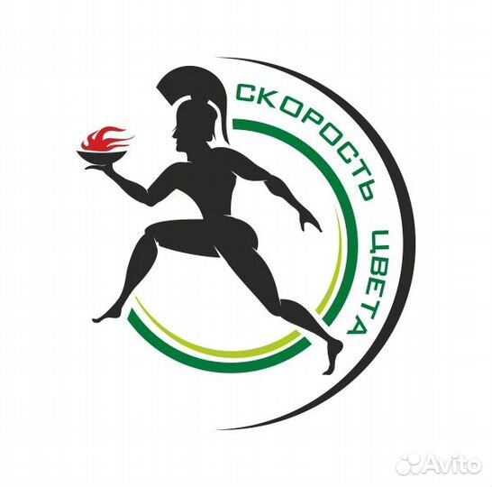 Полиграфические услуги, услуги типографии