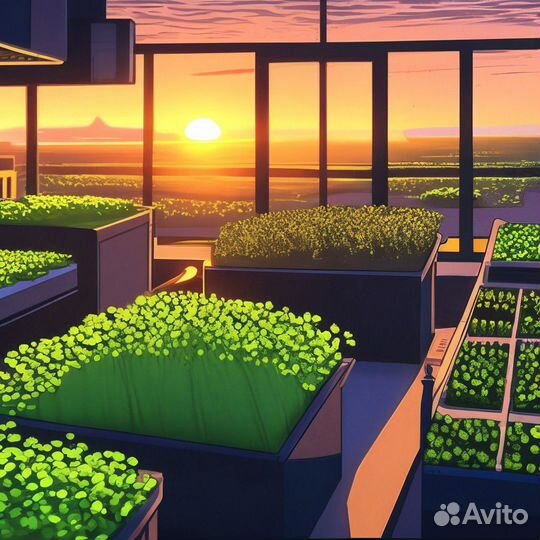 Микрозелень