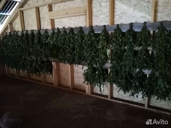 Веники для бани, веник березовый