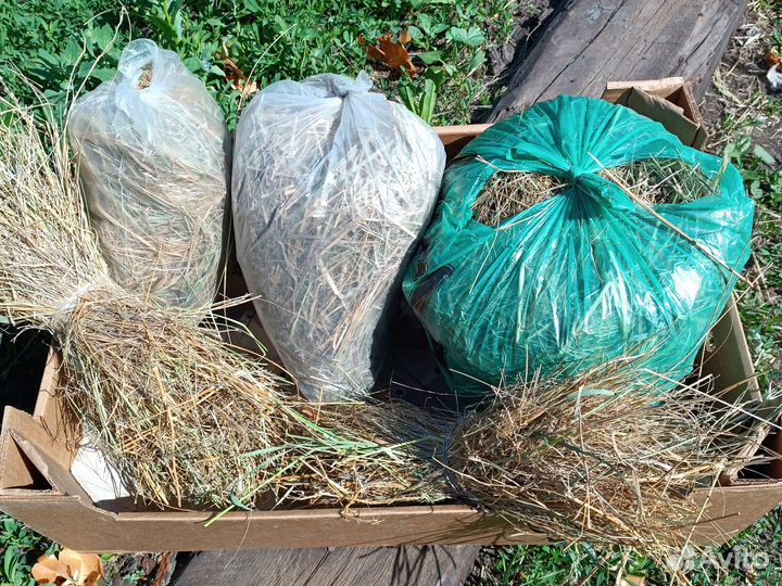 Сено луговое для грызунов