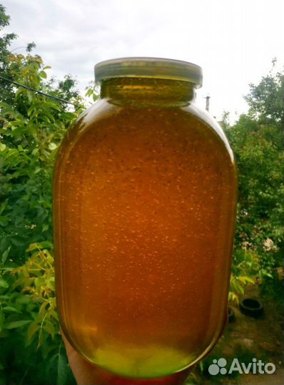 Натуральный майский мед 24 с доставкой