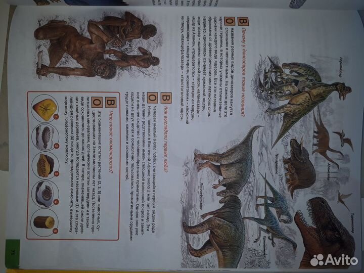 Иллюстрированная энциклопедия школьника