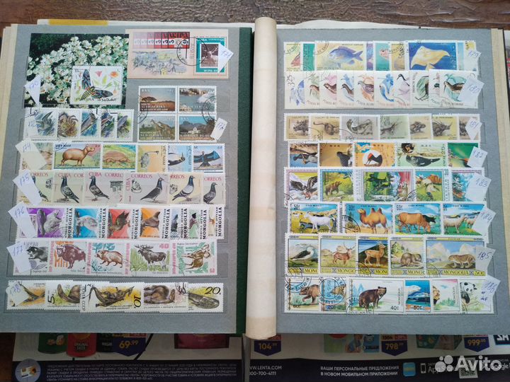 Почтовые марки.Фауна 1