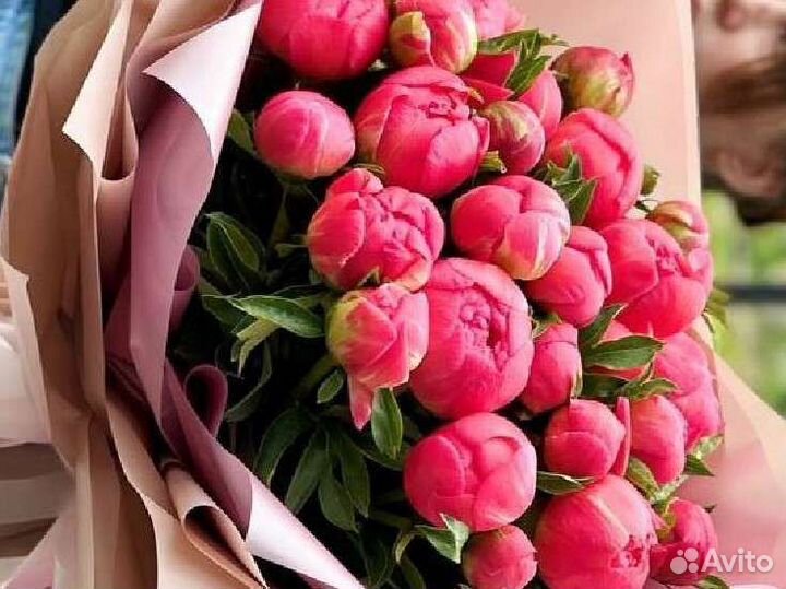 Пионы букет(композиция)