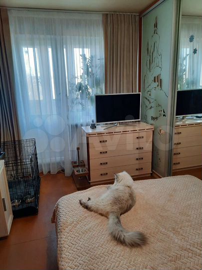 2-к. квартира, 44,4 м², 4/5 эт.