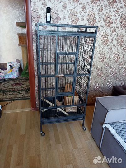 Большая клетка для попугая бу