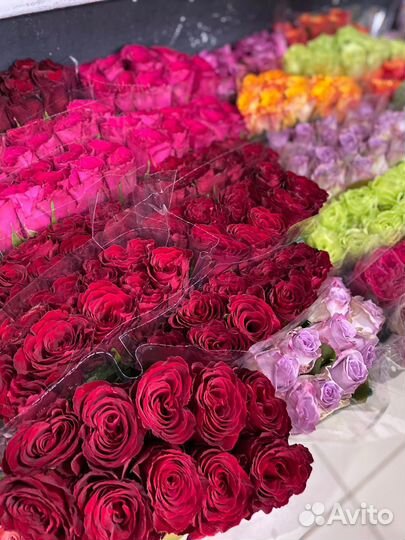 Букет из Кенийских Роз