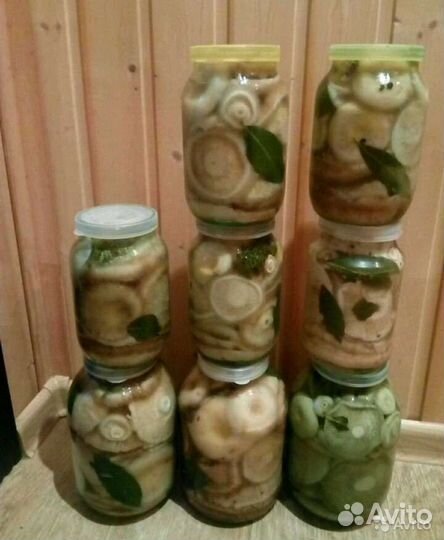 Грибы грузди солёные 2023