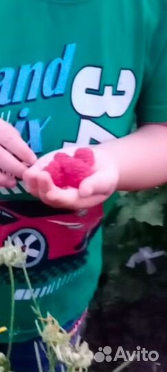 Малина красная и желтая