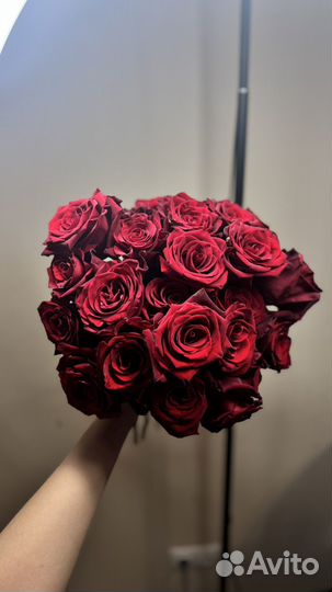 Букет алых роз 23 шт